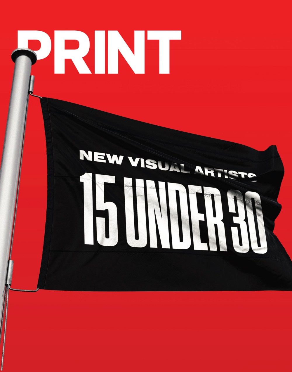 Amy Schwartz New Visual Artist